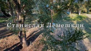 Станислав Лемешкин,  Вслед за мечтой. Музыка для души