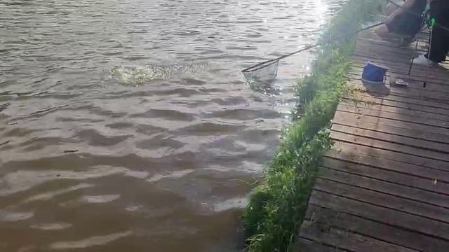 Карпуша смотреть онлайн