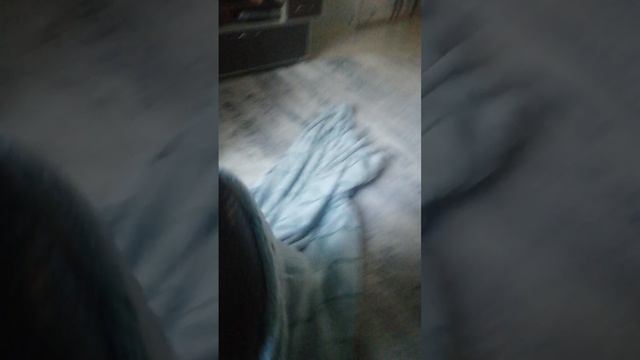 Новый сьнюсаедик