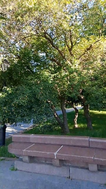 1000052983.mp4 смотреть онлайн