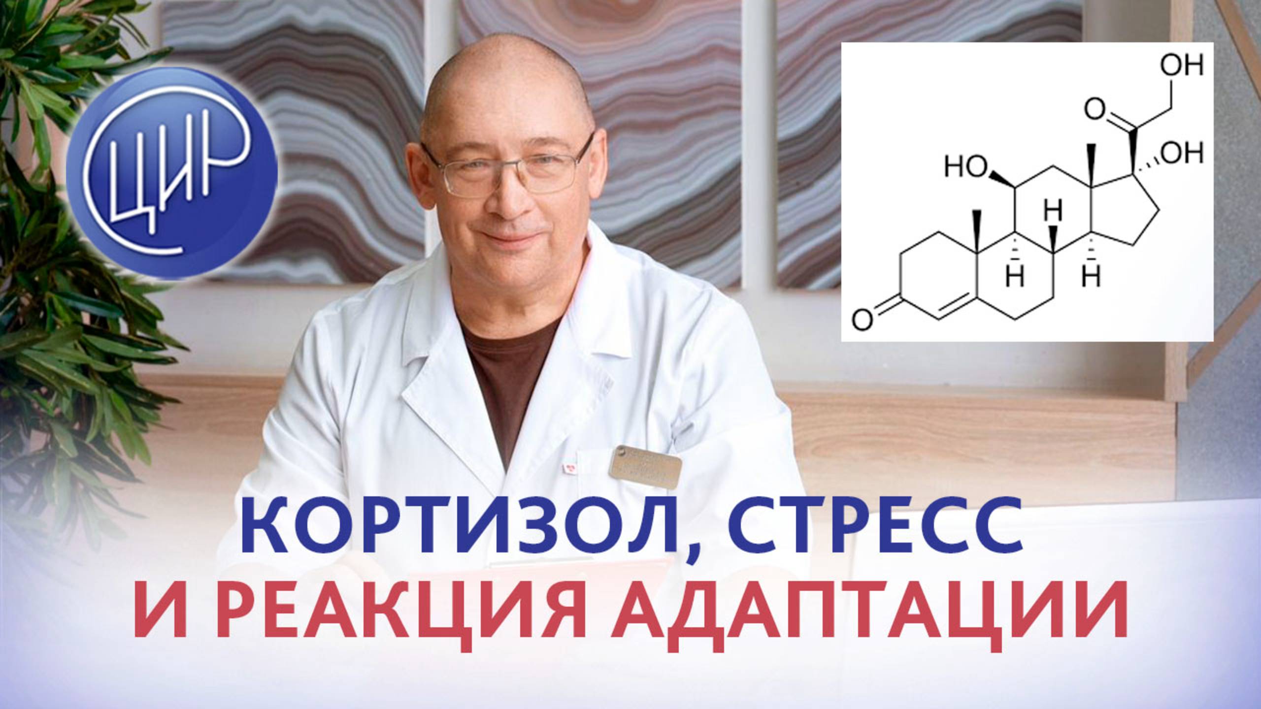 Кортизол, стресс и реакция адаптации. Игорь Иванович Гузов. смотреть онлайн