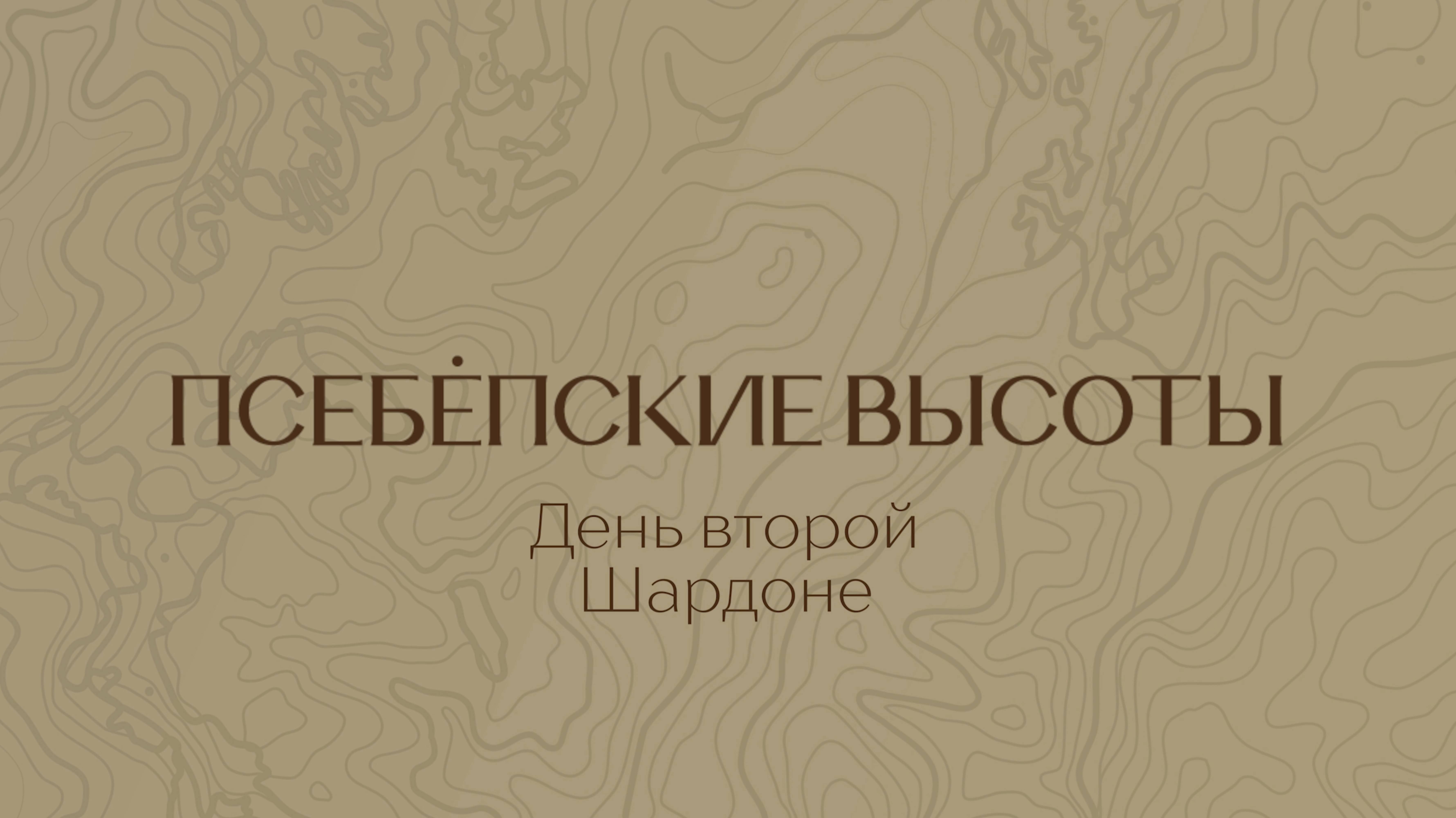 Посадка винограда | Шардоне - День 2 (Часть 1) | 26.04.2025