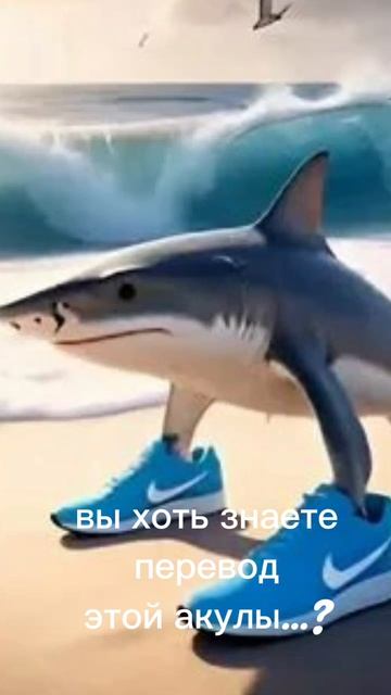 самая тупая акула на всей  земле