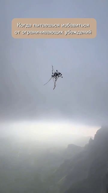 Когда пытаешься избавиться от ограничивающих убеждений