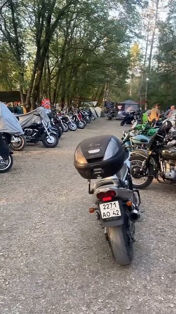 Утренний Мотофестиваль #shorts #fjr1300p #short