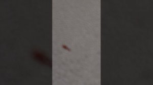 hвзгляни мне в глаза мне что здесь люди счастливы и что жизнь нас сладко все заперся и слава на боль