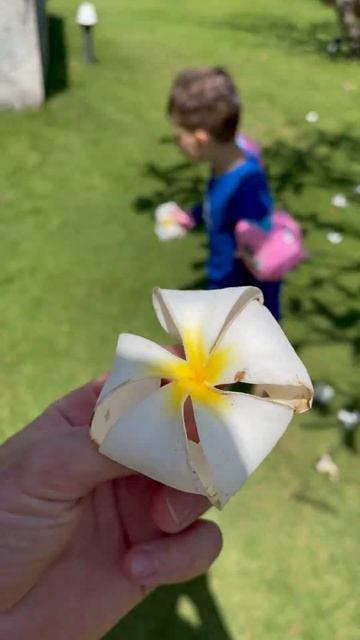 МНОГОДЕТНЫЕ БЕЗ ТОРМОЗОВ