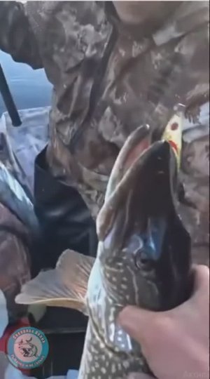 РЫБАЛКА В ЯКУТИИ НА ЩУКУ/ХОРОШИ ЧЕРТОВКИ ЗУБАСТЫЕ