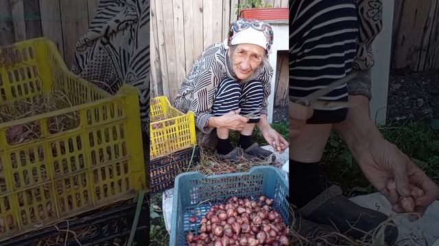 продолжение.манты.покормлю собачку смотреть онлайн