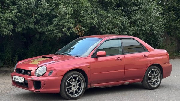 Пушка гонка Subaru Impreza WRX