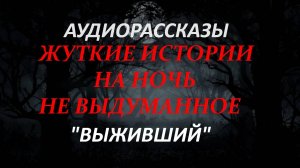 СТРАШНЫЕ РАССКАЗЫ НА НОЧЬ-ВЫЖИВШИЙ