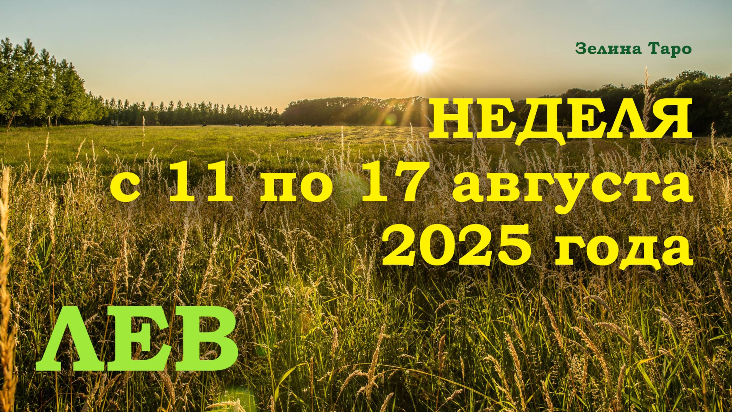 ЛЕВ | ТАРО прогноз на неделю с 11 по 17 августа 2025 года