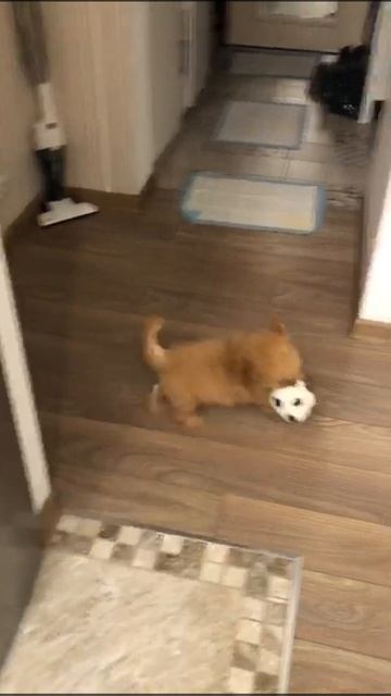 Полина_ Малина_