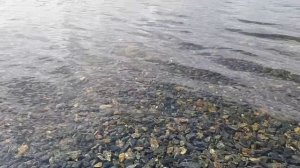 На озеро Тургояк.