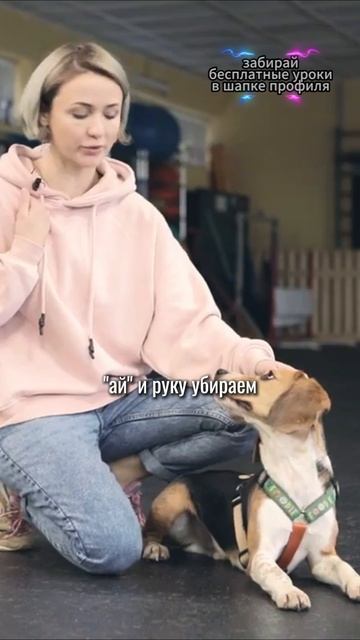 🎁Бесплатные уроки. Жми сюда! смотреть онлайн