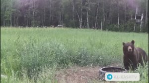 ЛУЧШИЙ ПОМОШНИК В ОХОТ УГОДЬЯХ