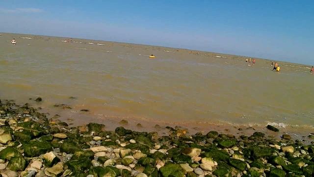 Залив мелеет, пляж Виста. смотреть онлайн