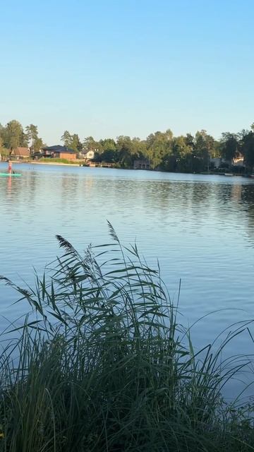 Питер Шашлык Сестрорецк