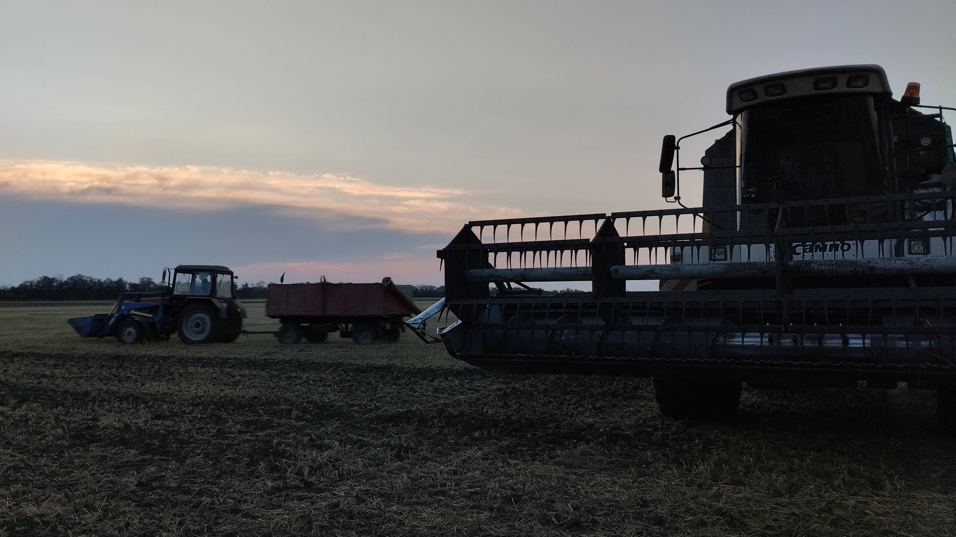 УБОРКА ПШЕНИЦЫ И ЯЧМЕНЯ 2025