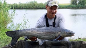 Рыбалка на чёрного амура, его тут много, кормушка флэт фидер