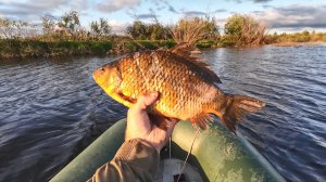 КАРАСИ ГИГАНТЫ. ПРОВЕРКА СЕТЕЙ УДИВИЛА РЫБАКА. РЫБАК ПОСТАВИЛ СЕТИ НА ОЗЕРЕ.