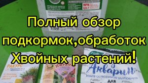 🌲Полный цикл подкормок, обработок хвойных растений!!!🌲