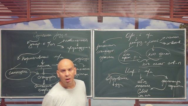 Механизмы социального регулирования