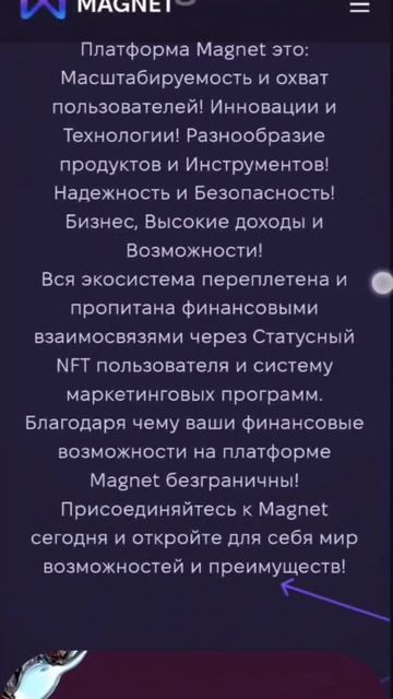 За 1 минуту о платформе MAGNET