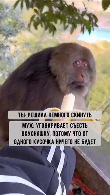 Когда решила немного скинуть кг, а муж уговаривает на другое...