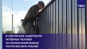 В Смоленске задержали четверых человек за незаконный вывод почти 800 млн рублей