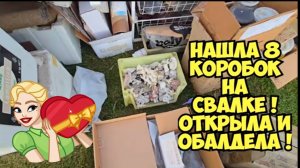 Я_в_шоке_!_Нашла_8_коробок_на_свалке_!_Открыла_и_ОбАлДеЛа_Это