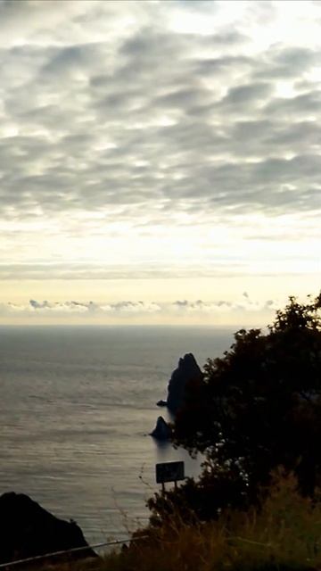 Светлана Кутузова