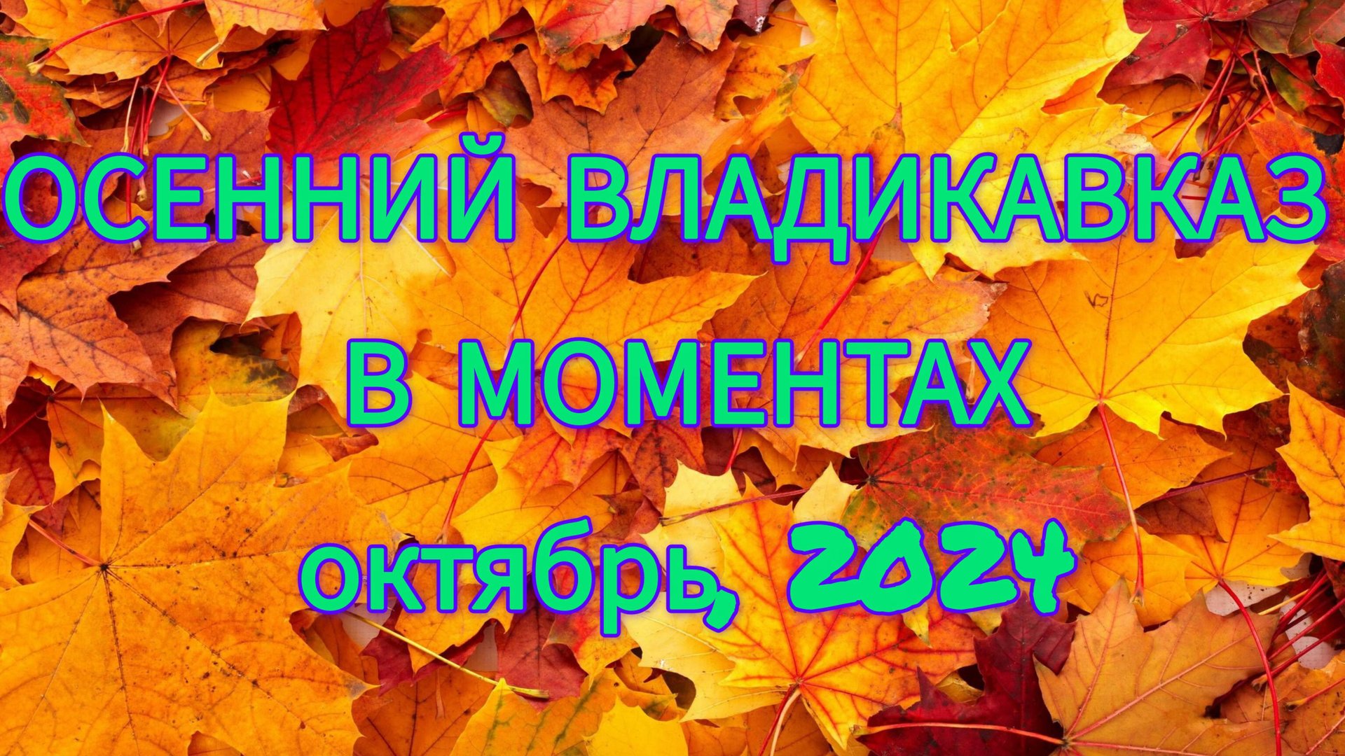 Осенний Владикавказ в моментах. Октябрь, 2024 смотреть онлайн