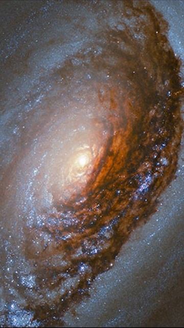 Светлана Кутузова