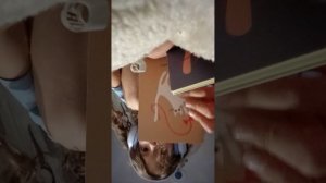 сборка пенала к школе