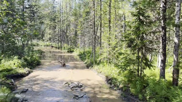 СУП 2023. 2 видео из 12.