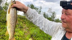 ЗУБАСТЫЙ хищник в перекатах. Кольский полуостров.