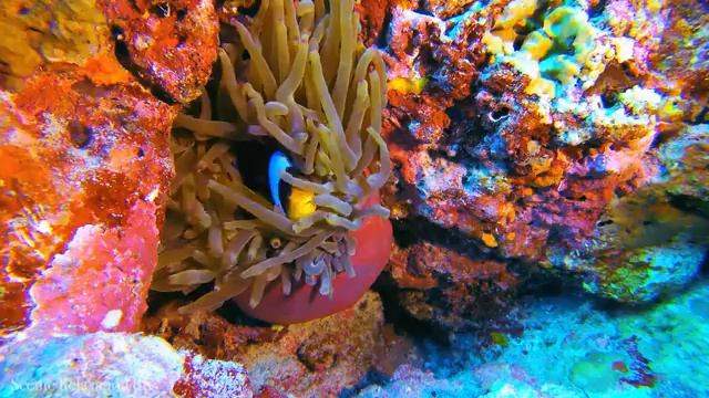 Океан смотреть онлайн