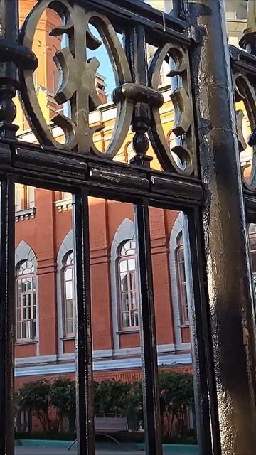 Светлана Кутузова