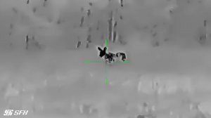 Как видно лося в тепловизионный прицел SFH VARG L25? #охота #тепловизор