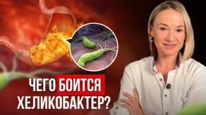 Всего ОДНО действие — как избавиться от хеликобактер пилори БЕЗ АНТИБИОТИКОВ!