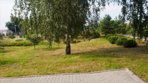 Эх деревня, деревенька