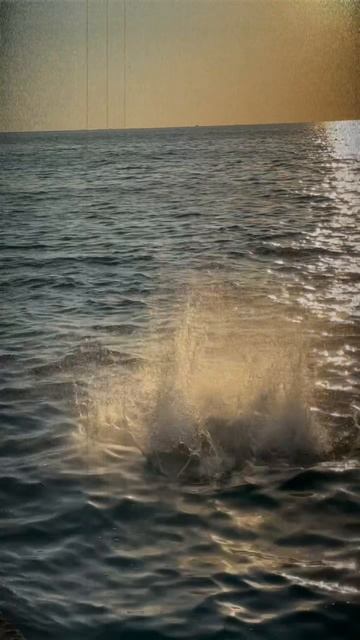 Ресто-бар «Вечно Молодой»