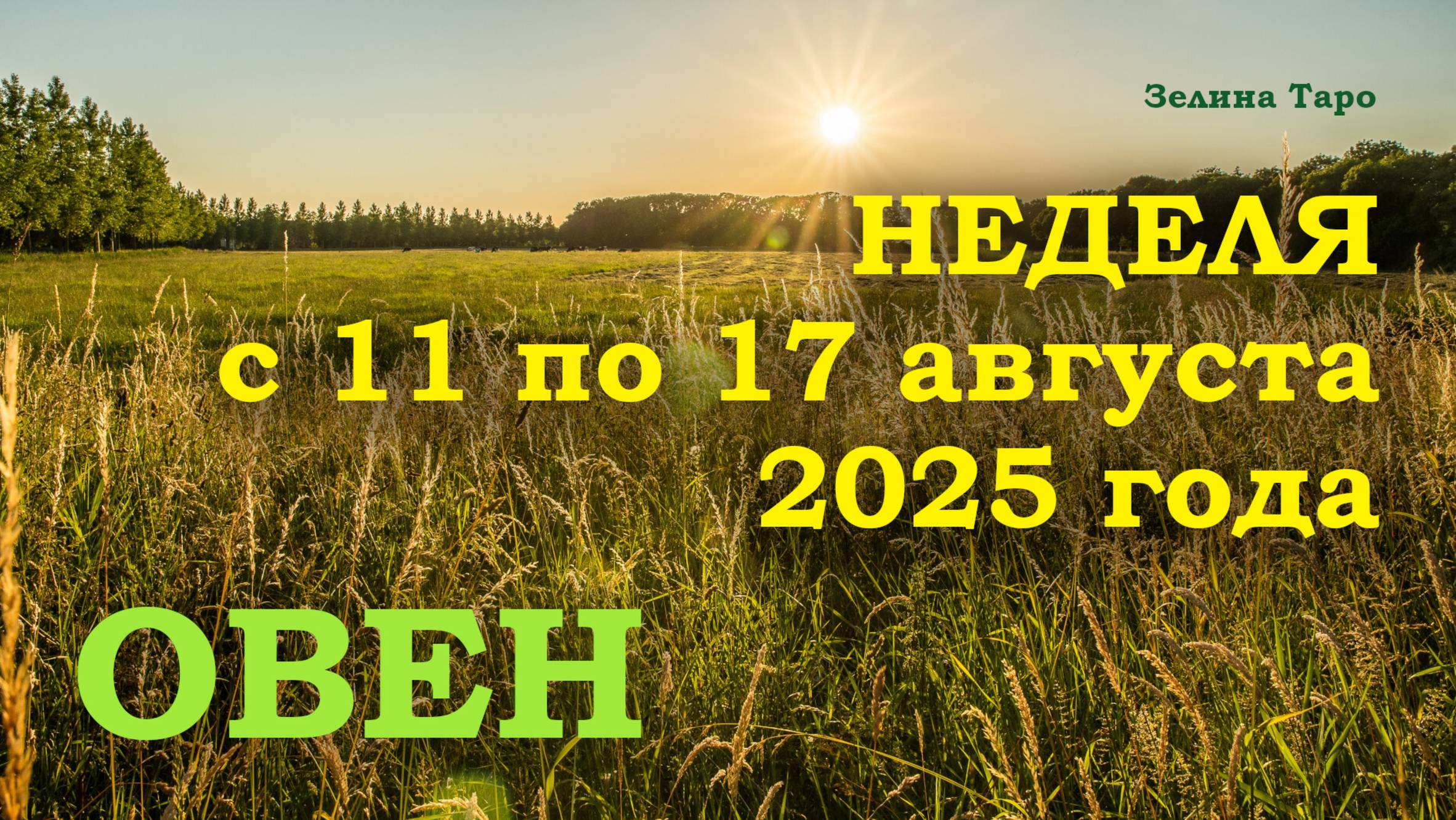 ОВЕН | ТАРО прогноз на неделю с 11 по 17 августа 2025 года