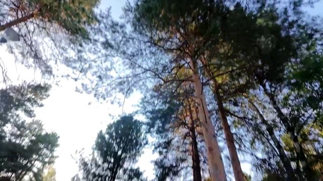 Сквер торжеств