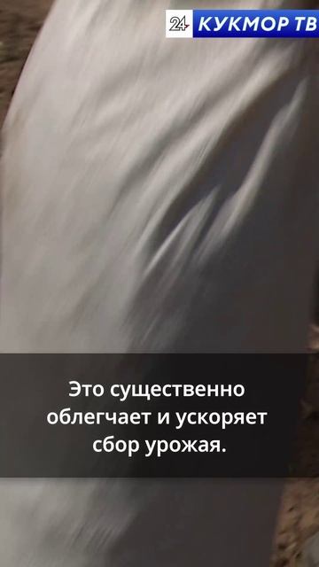 Жизнь в деревне: посев лука как семейная традиция☀️ смотреть онлайн