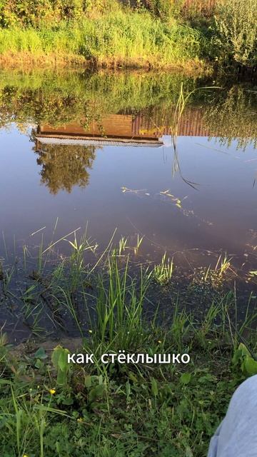 ДАЧНЫЕ БУДНИ