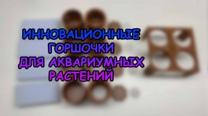 Инновационные горшочки для аквариумных растений