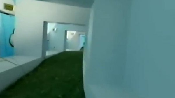 Backrooms 13 - Level 150 "Garden"