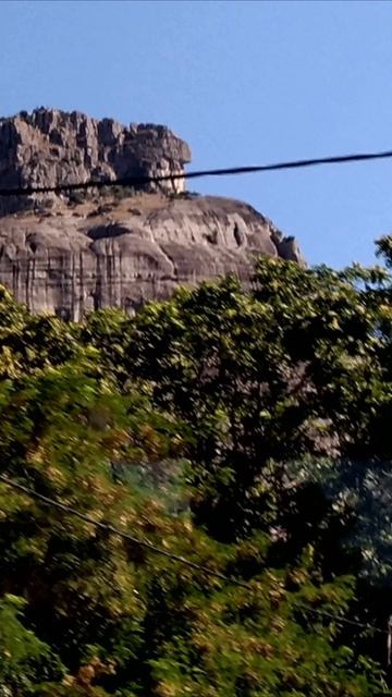 Светлана Кутузова